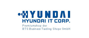 hyundai-displays.de